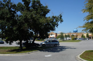 rpkwebsite2003006.jpg