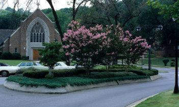 rpkwebsite2006003.jpg